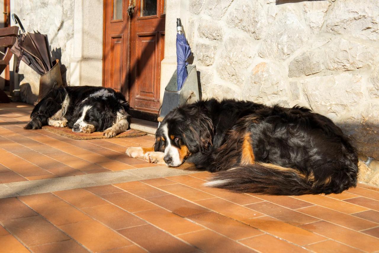 Tourist Farm Skerlj Villa Dutovlje Dış mekan fotoğraf